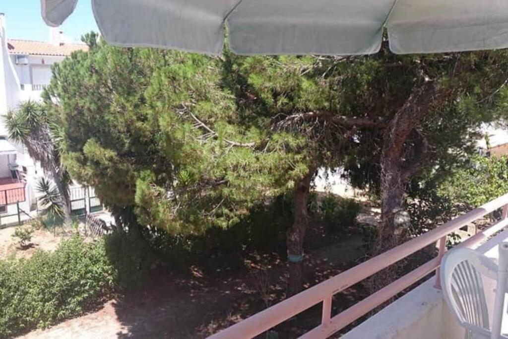 Falesia - Near The Beach - The Gavel Apartment Albufeira Luaran gambar